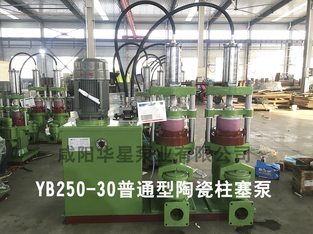 YB250-30陶瓷柱塞泵普通型陶瓷柱塞泵