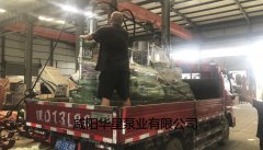 陶瓷柱塞泵發貨給客戶